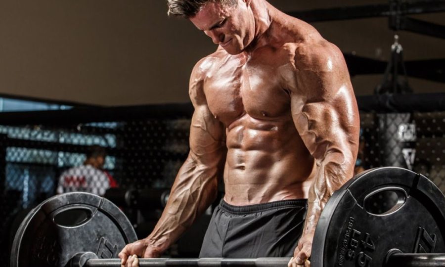 How Amino Acids Support Muscle Building and Repair